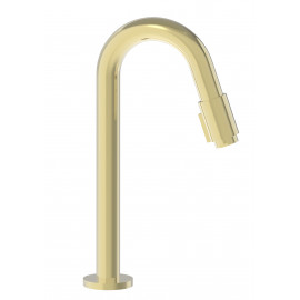 Fonteinkraan Lungo Sky 28 cm goud mat PVD 26G1960657A58